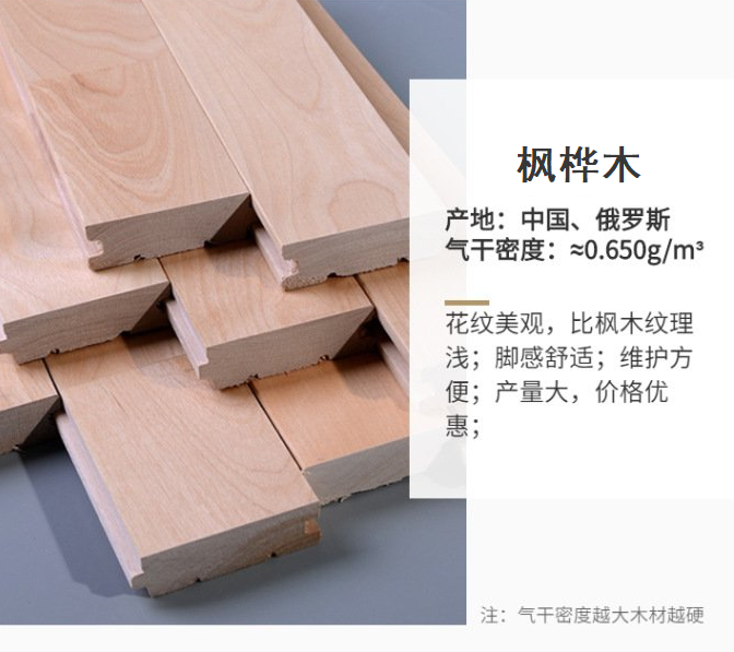 枫桦木